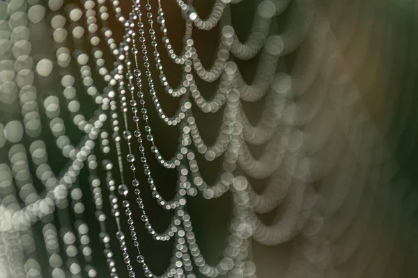 Close Van Druppels Ochtenddauw Een Spinnenweb Vroege Ochtendzon Natuurlijke Abstracte — Stockfoto