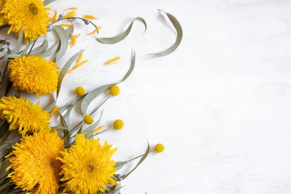 stock image Festive white flat lay background with sunflowers and craspedia flowers, copy space.