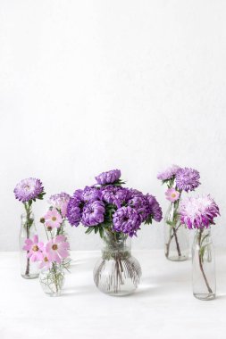 Bahar kompozisyonu, cam vazolarda krizantem çiçekleri ile bulanık beyaz arkaplan üzerinde, boşluğu kopyala.