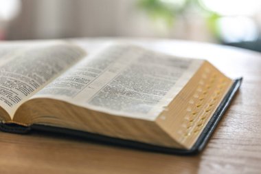 Görünür metin ve altın kenarlı açık bir İncil, gün ışığında ahşap bir yüzeye dayanır. Odaklanmış bileşim çalışma, yansıma ve ruhsal gelişimi temsil eder..