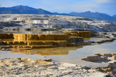 Yellowstone'da mamut hot springs