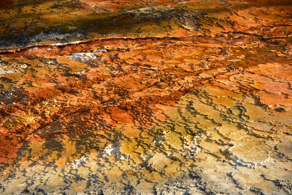 Mamute fontes termais em Yellowstone — Fotografia de Stock