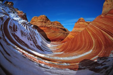 Dalga, arizona