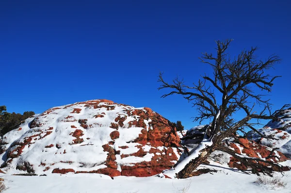 Roca roja en la nieve — Foto de Stock