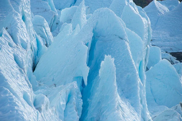 Matanuska buzul alaska ABD