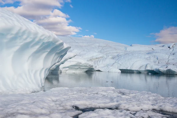Matanuska buzul alaska ABD