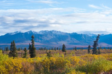 Matanuska buzul alaska ABD