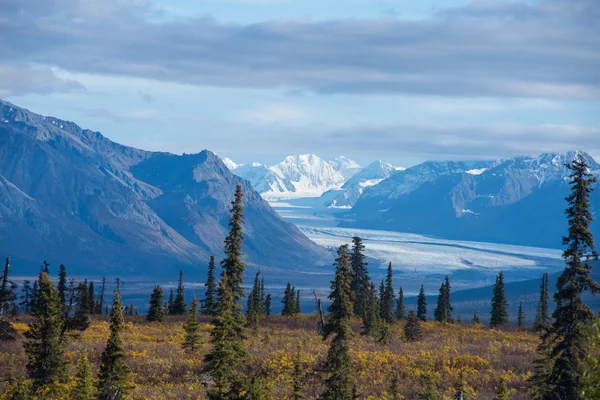 Matanuska Glacier Alaska — стоковое фото