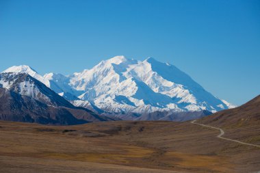 Mount McKinley's snowy peak with the park road and tundra in the clipart