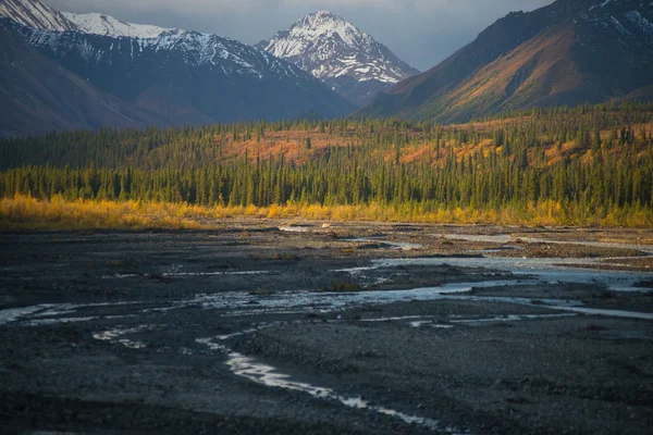 Morgonljus och skugga i denali national park — Stockfoto