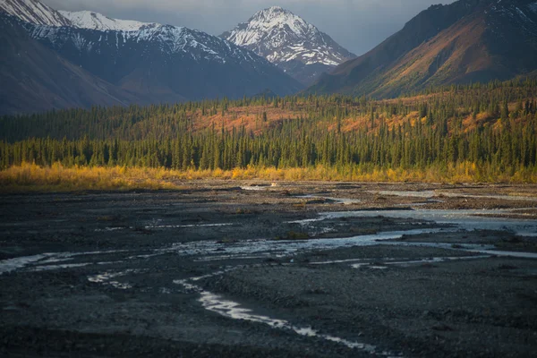 Morning light and shadow in denali national park — Stock Photo, Image