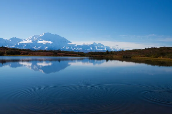 Wonder Lake Park Narodowy Denali alaska Stany Zjednoczone Ameryki — Zdjęcie stockowe