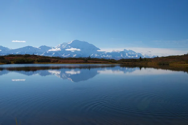 Wonder Lake Denali National Park Alaska USA —  Fotos de Stock