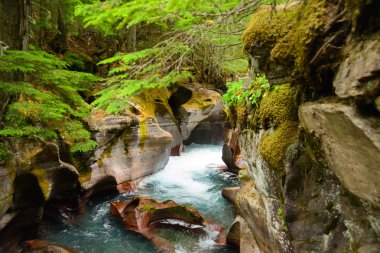 Çığ Gorge, buzul Milli Parkı, montana, ABD