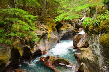 Çığ Gorge, buzul Milli Parkı, montana, ABD