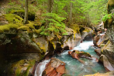 Çığ Gorge, buzul Milli Parkı, montana, ABD