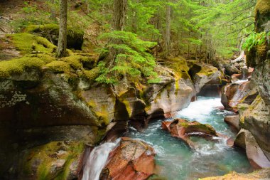 Çığ Gorge, buzul Milli Parkı, montana, ABD