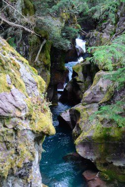 Çığ Gorge, buzul Milli Parkı, montana, ABD