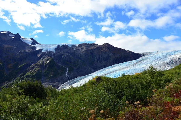 Vista da paisagem da área do Glaciar de Saída em Kenai Fjords NP — Fotografia de Stock