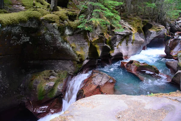 Avalanche Gorge ,Glacier national park ,montana, usa — Stock Photo, Image