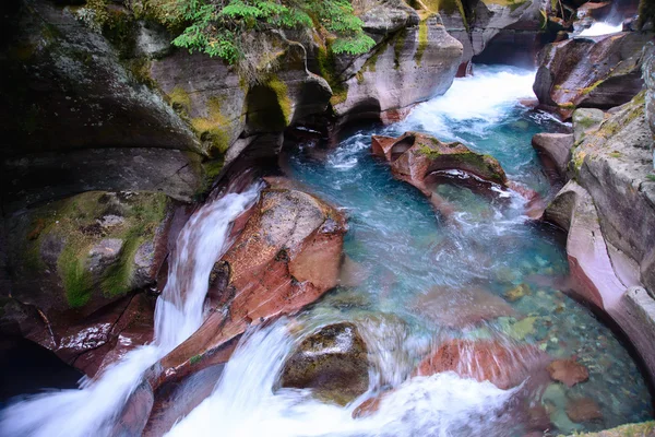 Avalanche Gorge ,Glacier national park ,montana, usa — Stock Photo, Image