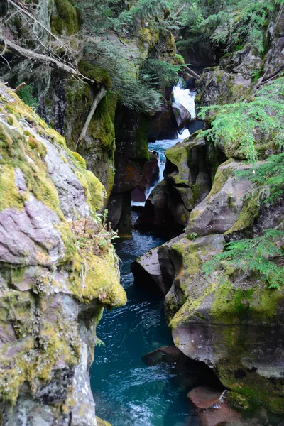 Çığ Gorge, buzul Milli Parkı, montana, ABD