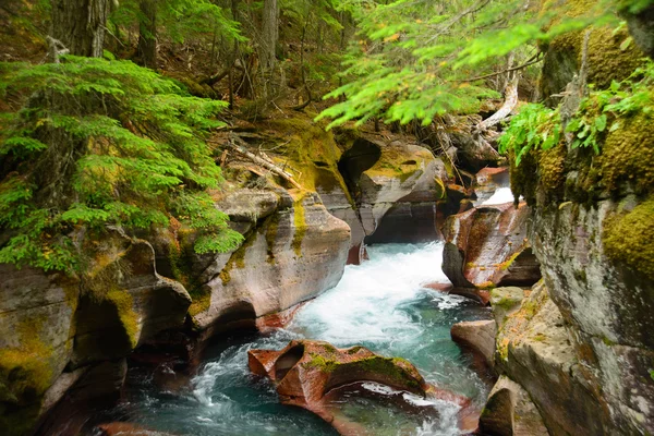 Lawine Gorge, Glacier national park, montana, Verenigde Staten Stockafbeelding