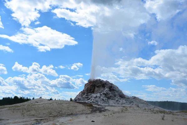 Uitbarsting van witte koepel geiser in Yellowstone National Park — Stockfoto