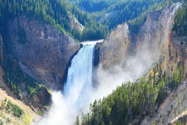 Lower Falls i Grand Canyon i Yellowstone, Wyoming Stockbild