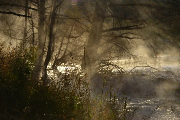 Yellowstone'da mamut hot springs