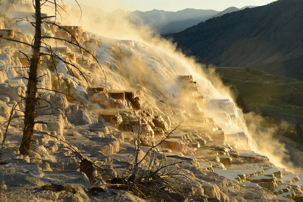 Yellowstone'da mamut hot springs