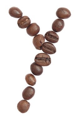 İzole alfabesi; Y yapmak kahve çekirdeği beyaz zemin üzerine gelen