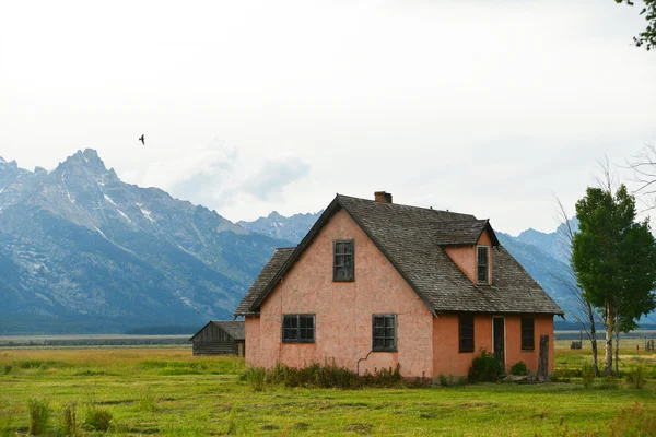 Tarihi bir ev, Mormon satır, Grand Tetons Milli Parkı, Wyoming,