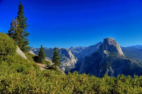 Buzul noktası göz ardı görünümü ve Yosemite Ulusal p Half Dome