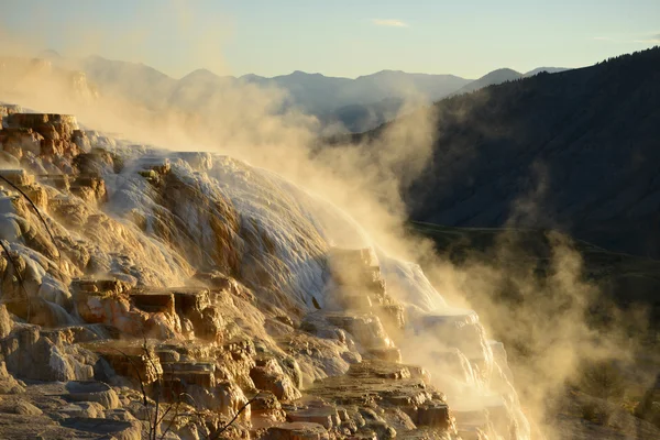 Mammoth hot springs i yellowstone Stockbild