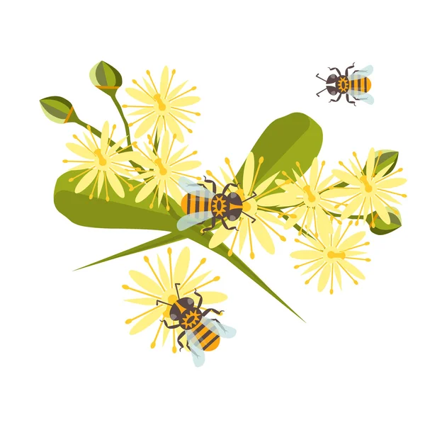 リンデンの花ベクトルとミツバチ. — ストックベクタ