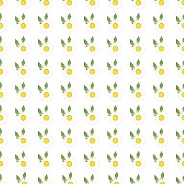 Beyaz papatya papatya Dikişsiz desen vektör.