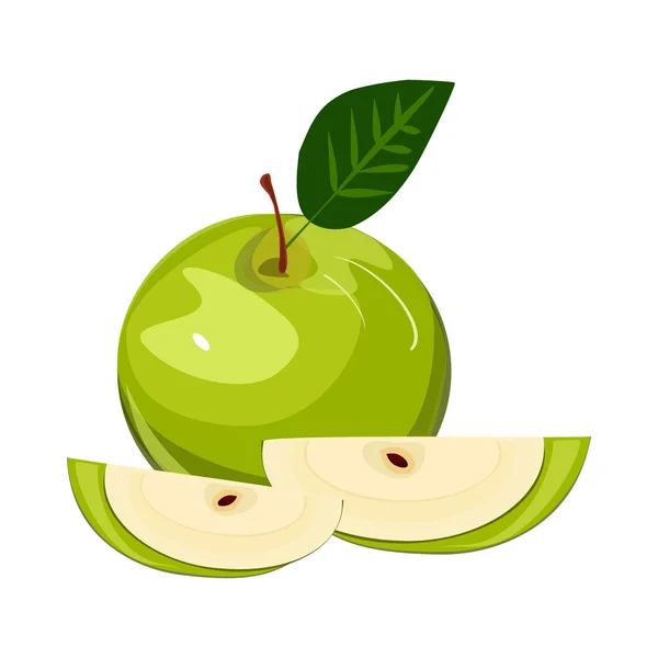 Ripe green apple with leaf slice isolated vector. — Stock Vector