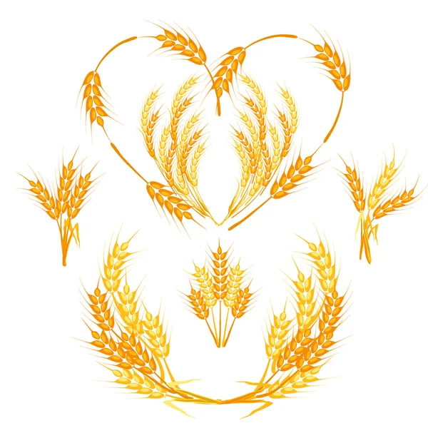 Weizen Spikelets Vektor Illustration. — Stockvektor