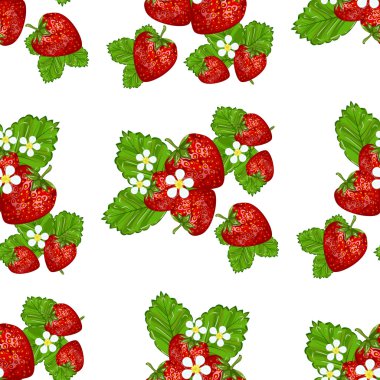 Çilek yaprakları vektör çizim ile.