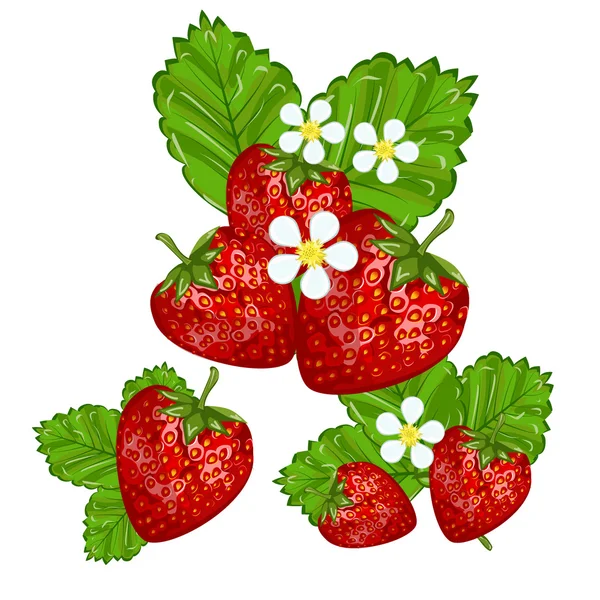 Strawberries with leaves vector illustration. — Stock Photo, Image