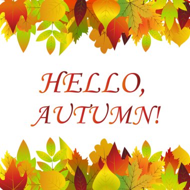 Beyaz akçaağaç sonbahar zemin üzerine boş bırakır.