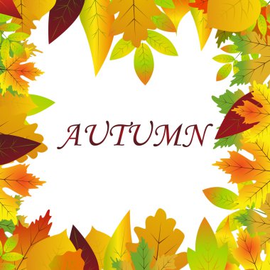 Beyaz akçaağaç sonbahar zemin üzerine boş bırakır.