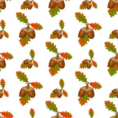 Meşe palamudu Dikişsiz desen vektör.