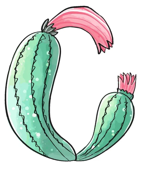 Cactus in a watercolor style isolated on white background. — Stock Photo, Image