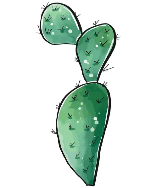 Kaktusz egy akvarell stílus elszigetelt fehér háttér. — Stock Fotó