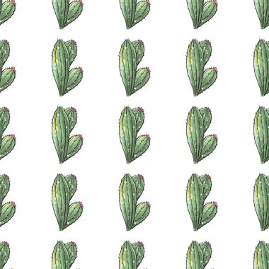 Kaktüs dikişsiz desen. Beyaz arkaplanda kedi balığının suluboya deseni.