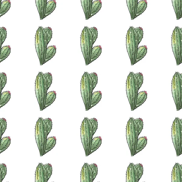 Kaktüs dikişsiz desen. Beyaz arkaplanda kedi balığının suluboya deseni.