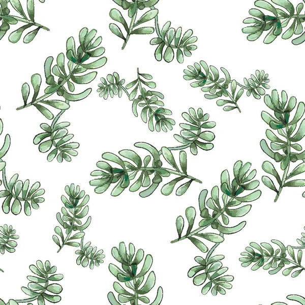 Modèle sans couture cactus. Aquarelle motif de catus sur fond blanc. — Image vectorielle