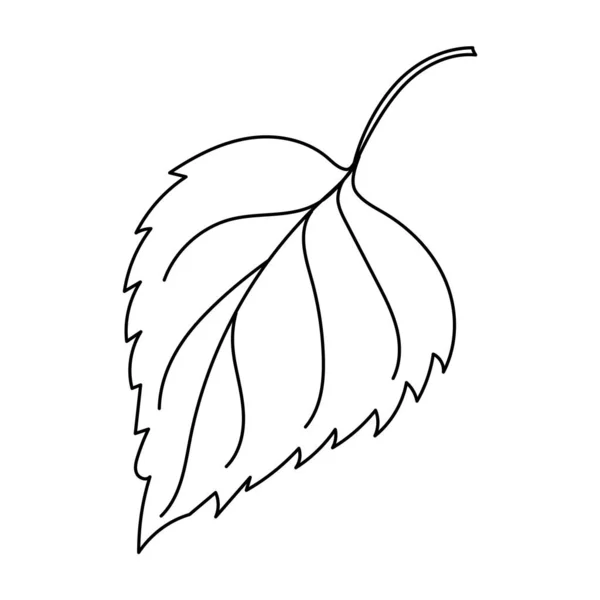 Hoja Otoño Estilo Lineal Orgánica Hoja Árbol Natural Esquema Aislado — Vector de stock